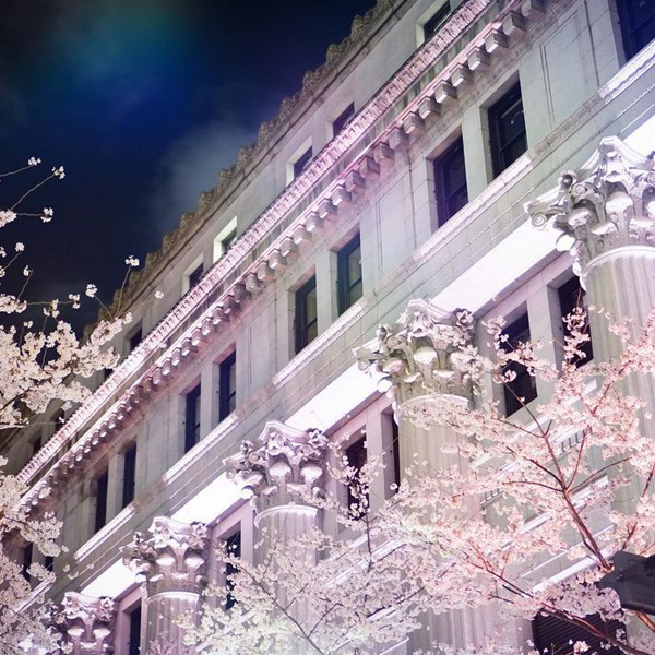 前回の入賞作品15