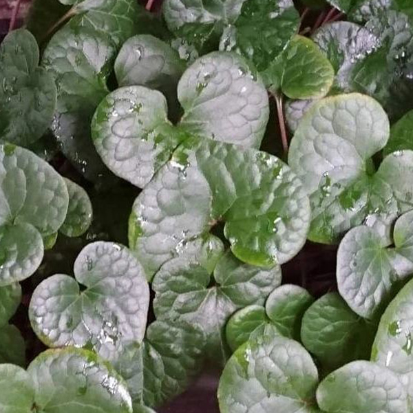 前回の入賞作品17