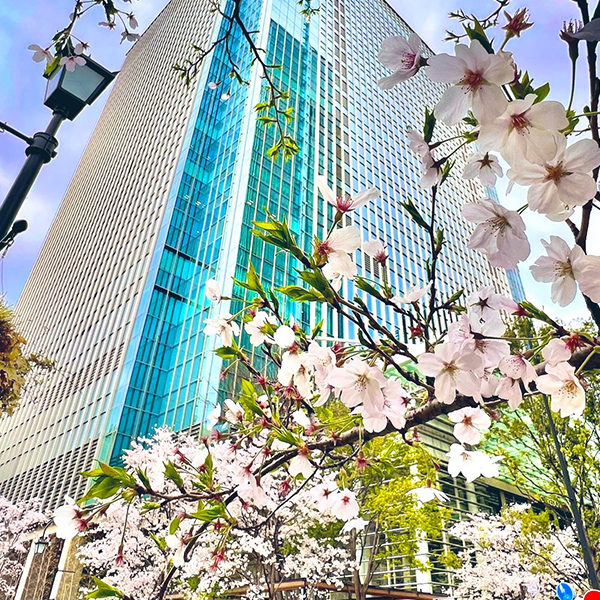 前回の入賞作品20