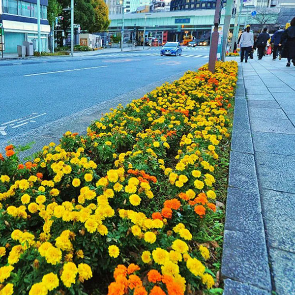 前回の入賞作品8