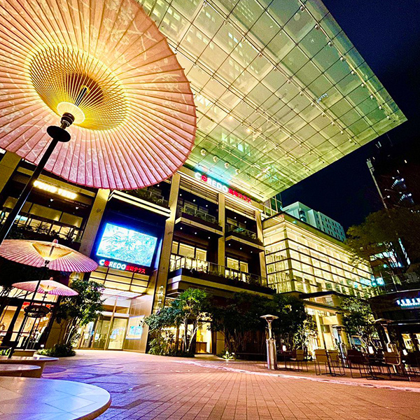 前回のルネッサンス賞作品