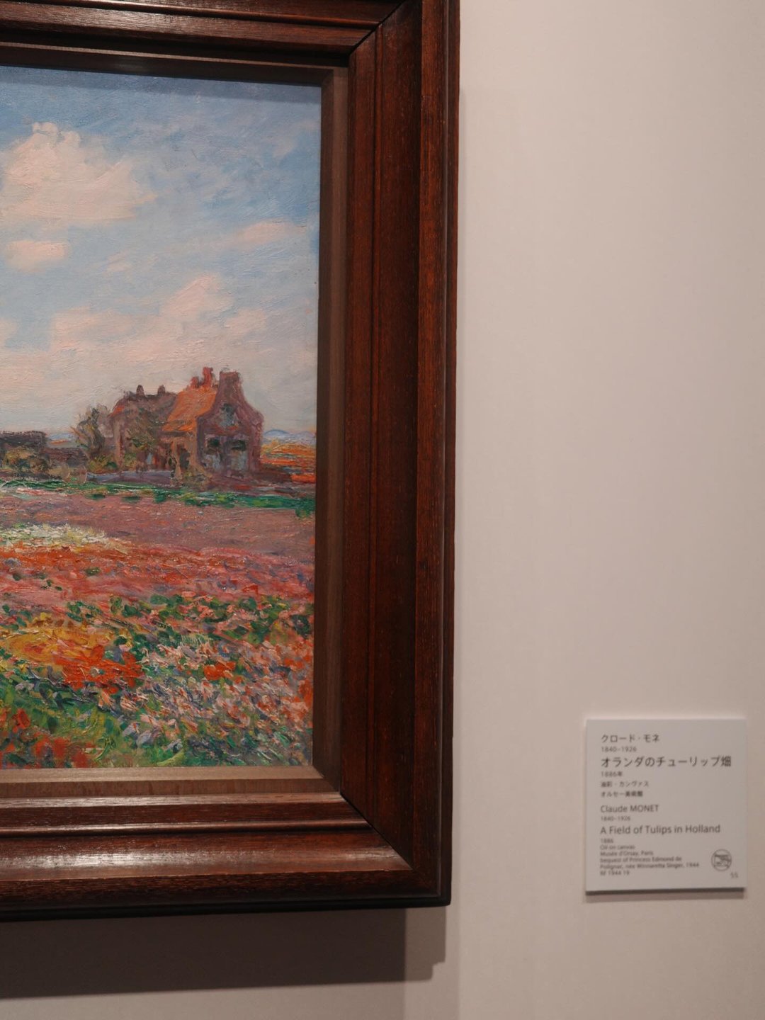 投稿作品 63