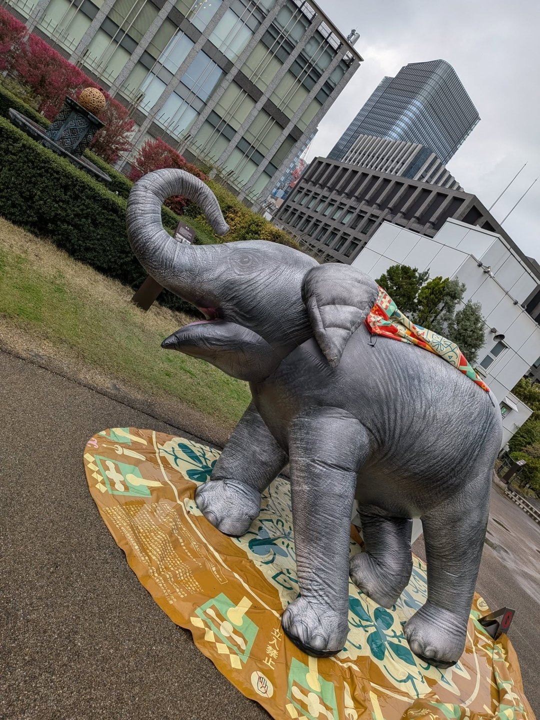 投稿作品 56