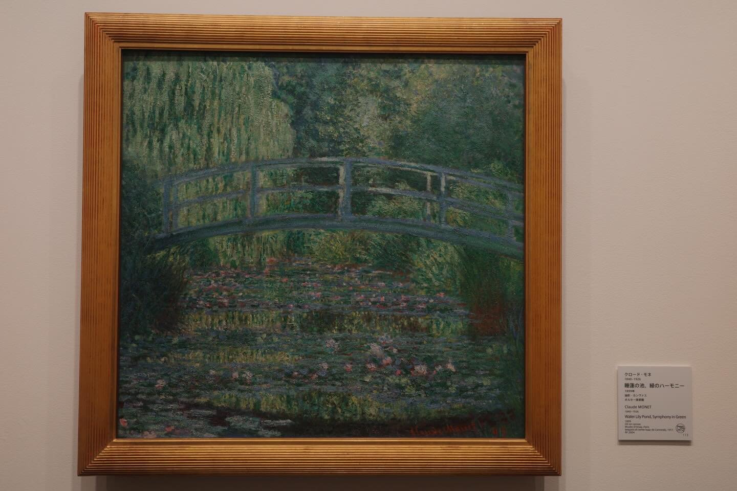 投稿作品 45